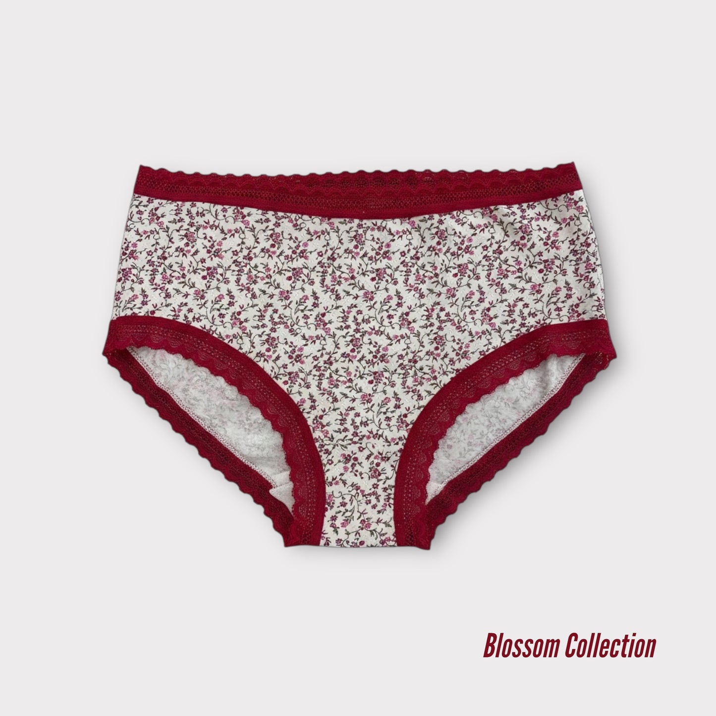 Premium Cotton Lace Full Briefs