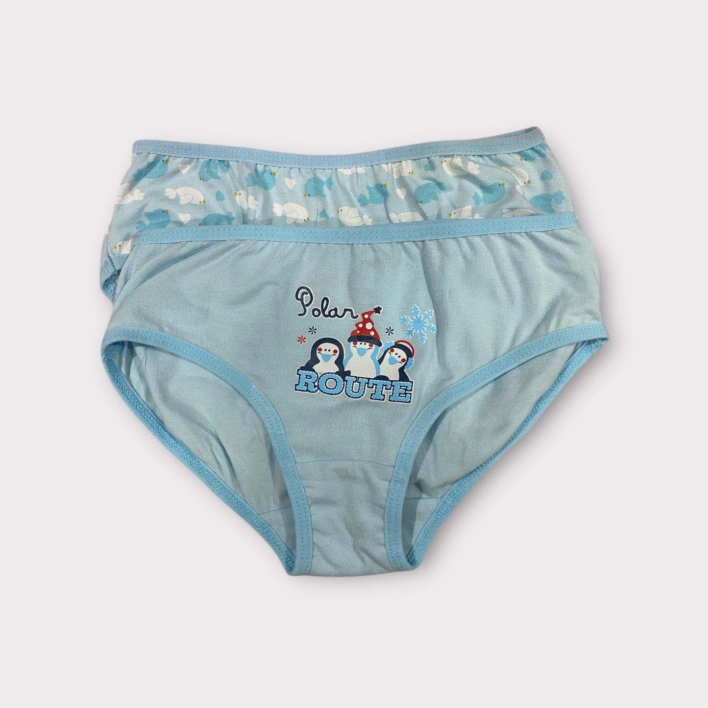 Girls Premium Cotton Briefs - 2 Pack